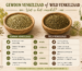 Infographic met vergelijking tussen gewoon venkelzaad en wild venkelzaad van TanteHeidi.com.